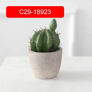 T{e~  CeA ~j A  k tFCNO[  INS lHϗtA  e[u ΂̐A u Vzj a ] v[g