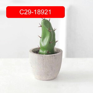 T{e~  CeA ~j A  k tFCNO[  INS lHϗtA  e[u ΂̐A u Vzj a ] v[g