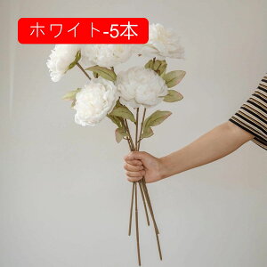 O  CeA tFCNt[ VNt[ sv ͂Ȃ A[gt[ t[AW k A  ƒ둕 DIY ԑ u[P Be X܏ EFfB