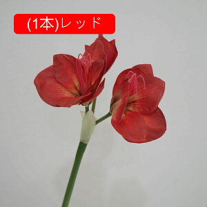 Nq  tFCNt[ ԑ u[P ͂Ȃ Y tFCNt[ A[gt[ CeA rO  ItBX   AW Be ] ސE v[g j