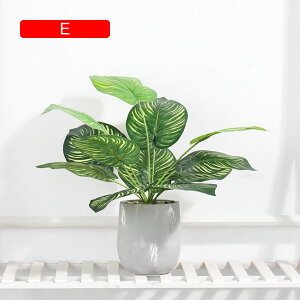 tFCNO[ ~j  A t ~ lHϗtA { c k CeA ItBX X  u ͂Ȃ b炸  JXj Vzj v[