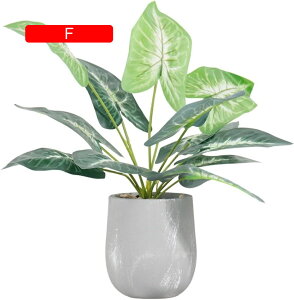 tFCNO[ ~j  A t ~ lHϗtA { c k CeA ItBX X  u ͂Ȃ b炸  JXj Vzj v[