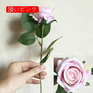 [Y  tFCNt[ ỏԑ u[P ͂Ȃ Y }eBbN A[gt[ CeA LO o^C v[g j rO  EGfBO  