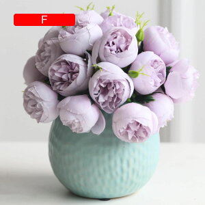  ~ A ԕrt  CeA   v[g Mtg ߓ  ʐ^Be ii w  i ] j Nj җj Vzj ʉ Mtg 