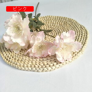  O CeA A[gt[ ͂Ȃ ڂԑ A lHAӏ tFCNt[ 2{ZbgZbg VNt[ Ԃ̂ EFfBO u[P FI  u z