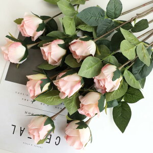  CeA CgsN 10{ [Y o KN ͂Ȃ A[gt[ ̓v[g Mtg 킢 j   X iX  p[eB[ a ԑ 蕨