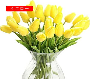  `[bv ͂Ȃ 10{Zbg A[gt[ ԑ  ϏܐA CeA tFCNt[ lHA  蕨 v[g ̓ a LO Ǝ j Mtg