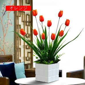 `[bv  CeA  ԃZbg tFCNt[ u[P bsv ͂Ȃ c Y JXj  Vj rO  x_ u 