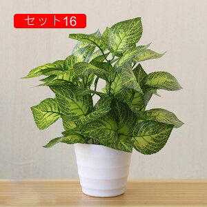 フェイクグリーン 人工観葉植物 鉢植え 盆栽植物 造花 ミニ インテリア 室内用 おしゃれ 世話要らず 新築祝い 新生活祝い 引越し ギフト 贈り物 オフィス ホーム 玄関 窓側 テーブル装飾花