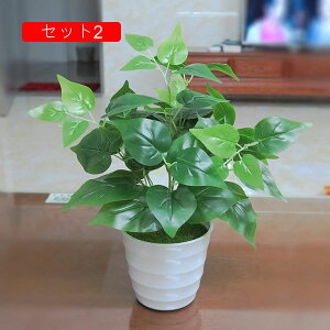 �t�F�C�N�O���[�� �l�H�ϗt�A�� ���A�� �~�͐A�� ���� �~�j �C���e���A �����p ������� ���b�v�炸 �V�z�j�� �V�����j�� ���z�� �M�t�g ���蕨 �I�t�B�X �z�[�� ���� ���� �e�[�u�������� 