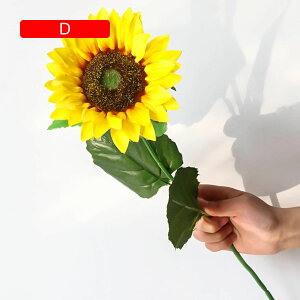  Ђ܂  ϗtA ƒ/rO/|[`/_CjOe[u/z[/EFfBO/p[eB[/ItBX/Q/zep tFCNt[  lHA zj ̓ v