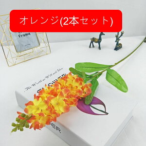 A[gt[  X~ ͂Ȃ k ԑ { tFCNt[ EFfBO u[P   CeA u p[eB[  a  i v[