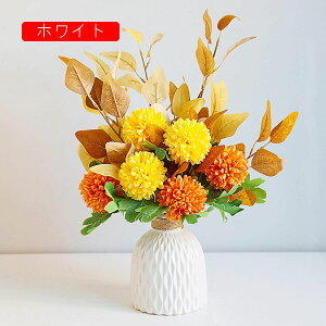  ~ A ԕrt  CeA   v[g Mtg ߓ  ʐ^Be ii w  i ] j Nj җj Vzj ʉ Mtg 