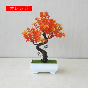  lHϗtA CeA  k tFCNO[ ~ A   z[  fXN A u Vzj ] z Mtg 蕨 v[g