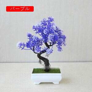  lHϗtA CeA  k tFCNO[ ~ A   z[  fXN A u Vzj ] z Mtg 蕨 v[g