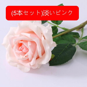  [Y KN CeA tFCNt[ ỏԑ ͂Ȃ Y tFCNt[ A[gt[ EFfBOu[P LO  o^C v[g j Q 