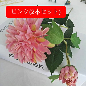  e A[gt[ ͂Ȃ ԑ CeA 2{Zbg t[ {  LC lHAϏ  tFCNt[ u[P 傫  蕨 Vz z