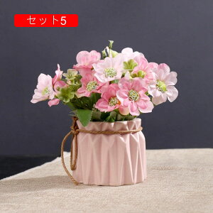 ԃZbg CeA  ԕrt Ԃ̉ԑ k LC tFCNt[ u[P ͂Ȃ rO e[u  Be u Q JXj ̓ Vj