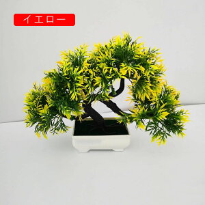 tFCNO[ ϗtA A lHϗtA { 22cm*30cm ~ u CeA  ItBX X 쑕  ͂Ȃ b炸  Vz z