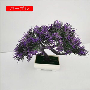 tFCNO[ ϗtA A lHϗtA { 22cm*30cm ~ u CeA  ItBX X 쑕  ͂Ȃ b炸  Vz z