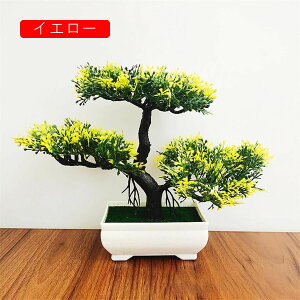 tFCNO[ ϗtA A lHϗtA { 19.5m*25cm ~ CeA  ItBX X 쑕  u ͂Ȃ b炸  z V