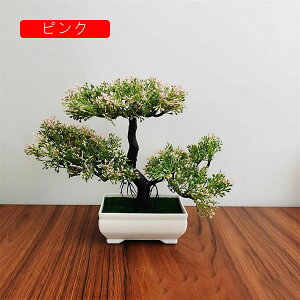 tFCNO[ ϗtA A lHϗtA { 19.5m*25cm ~ CeA  ItBX X 쑕  u ͂Ȃ b炸  z V