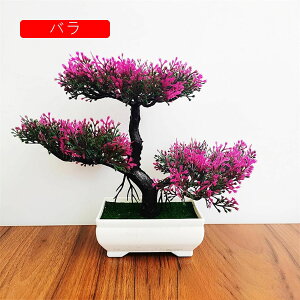 tFCNO[ ϗtA A lHϗtA { 19.5m*25cm ~ CeA  ItBX X 쑕  u ͂Ȃ b炸  z V