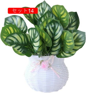  CeA Ǌ| k tFCNt[ ԑ A[gt[ ݂艺  lHϗtA  z[  u Vzj a ] Vz  Mtg 蕨 v[