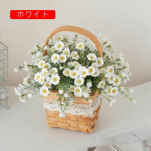  CeA  fCW[ nhoXPbgt tFCNt[ lH ԑu Y k  Vzj ]j a v[g sNjbN Lv Be z[ X