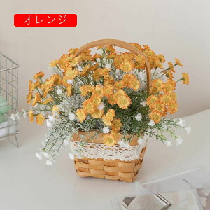  CeA  fCW[ nhoXPbgt tFCNt[ lH ԑu Y k  Vzj ]j a v[g sNjbN Lv Be z[ X