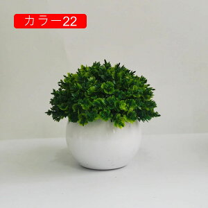 ϗtA ~j A lHϗtA tFCNO[ { 11-13cm ~ CeA  ItBX X   u ͂Ȃ b炸  Vz z 
