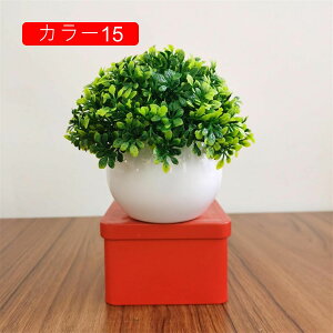 ϗtA ~j A lHϗtA tFCNO[ { 11-13cm ~ CeA  ItBX X   u ͂Ȃ b炸  Vz z 