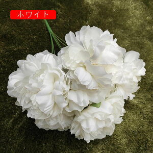 O  CeA A[gt[ ͂Ȃ ڂ ԑ A 51 tFCNt[ Ԃ̂ EFfBO lHԃu[P FI   i u p[eB[/iX/