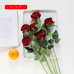  CeA o KN 5{ sN ͂Ȃ A[gt[ ̓v[g Mtg 킢 j   X iX  p[eB[ a ԑ 蕨̉ lHϗtA