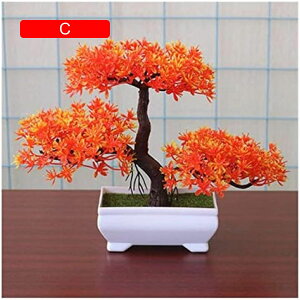 lHϗtA 1s[X̐lHA~͂̏Ȗ؂̓̐A̋ỦԂ̔Ȃi̔Ȁ lH~