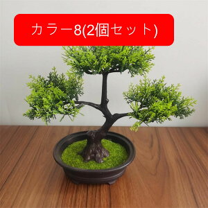 ϗtA  A lHϗtA tFCNO[ { ~ CeA  ItBX X  u ͂Ȃ b炸  JXj Vzv[g 2Zbg