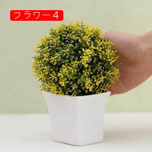  CeA  ~j ԕrt ~  v[g  蕨 ͂Ȃ lHϗtA t[  tFCNO[ tFCNϗtA CeA F ΂Ɣt iX I