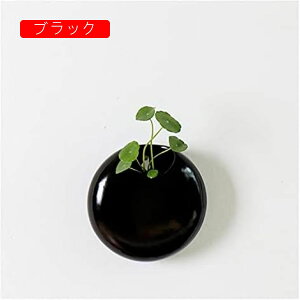 nMOv^[ Ǌ|v^[VvȐkAؔVvȃK[fjOԕr NGCeBu z[  Ɣ AnK[