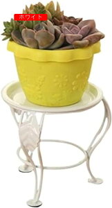 t[X^h O  ԑ oRj[̊̑Â߂̋̐A̗ؔ̏^A̒I̒I v^[X^h Aؔ