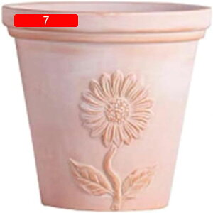 Aؔ INSc[gJ[̓픫 ϗtA  ϗtA̔  Aؔ  A Aւ ȐAؔ ~j K[fjO   y  ~j