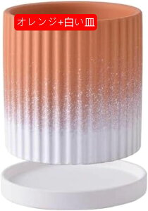 Aؔ  Aؔ  v^[ Jo[   Aؔ  ^ Jo[   Jo[ Mt v^[  Aؔ  v^[