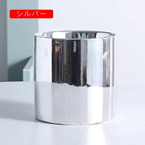 Aؔ Jo[ 픫 v^[ t[|bgdCbLS[fA|bg~͔A}CNhXP[v|bgK[fv^[i