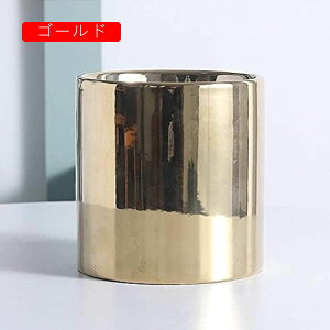 Aؔ Jo[ 픫 v^[ t[|bgdCbLS[fA|bg~͔A}CNhXP[v|bgK[fv^[i