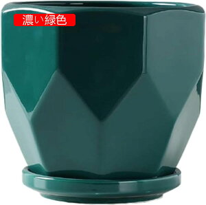 픫 Aؔ  ϗtA Mt v^[   CeA Vv