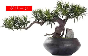 lH lH~̖͂12C`lHAIȋU̐ȂAz[ItBX̃fXNgbvTK[f̑̂߂̃tFCNA lHϗtA