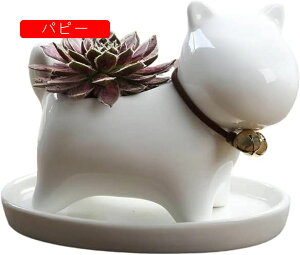 H|i Aؔ  v^[ 󂯎Mt rt 㕗  ϗtA A n[u Ԕ