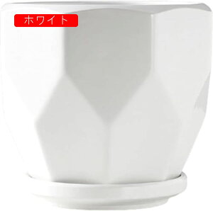 픫 Aؔ  ϗtA Mt v^[  v^ CeA Vv