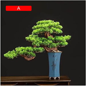 lH~ ~  tFCN~ lHϗtA J^ J^~ lH rO[ ANZT[  ItBX  pAfXNgbvfBXvCATK[fp