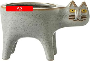 Aؔ 픫 v^[ ϗtA A T{e t[|bg K[fjO  L^ Lv^[ v^[ CeA Z~bNAv^[|bg ꌊ