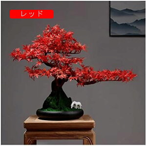 tFCNvg/tFCNvg ^lH~̓c[ lHϗtA ~ ΂̐A rO[ ItBX ze GgX  bh lHϗtA